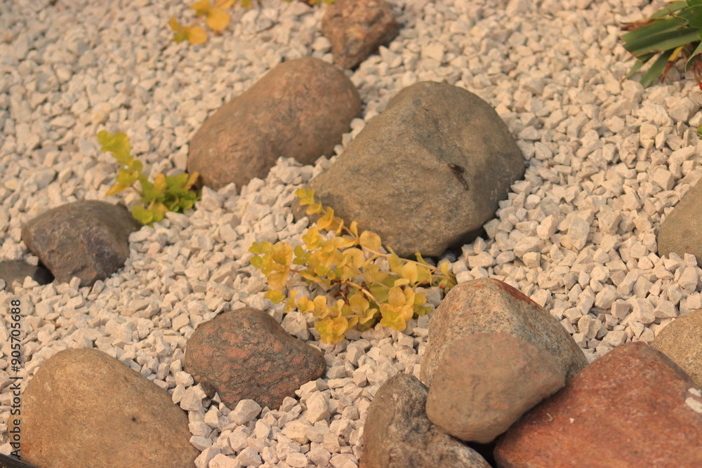Decorative stones in the garden. Ornamental plants. Decorative stones in the garden. Ornamental plants.
