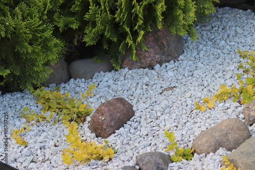 Decorative stones in the garden. Ornamental plants. photo