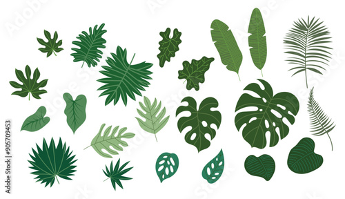 Jungle leaves. cartoon different tropical plants, Botanical green foliage elements. summer paradise exotic leaf background
