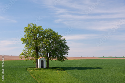 Small chapel under a tree
