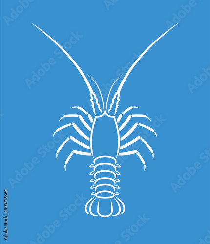 Spiny lobster outline. Isolated spiny lobster on white background
