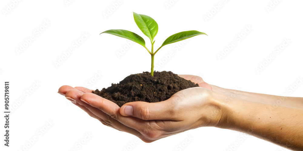 Hands Holding Young Plant Sprout with Soil on Black Background Hands Holding Young Plant Sprout with Soil on Black Background
