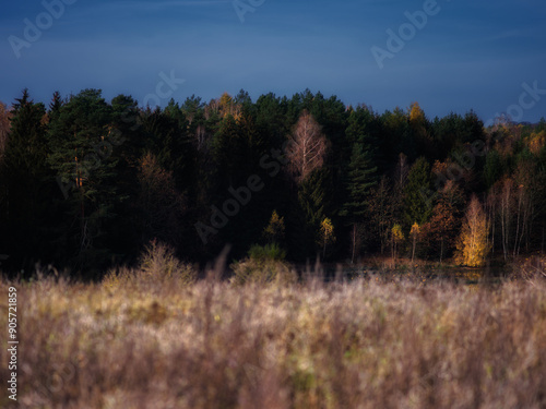 Fototapeta Naklejka Na Ścianę i Meble -  Jesień
