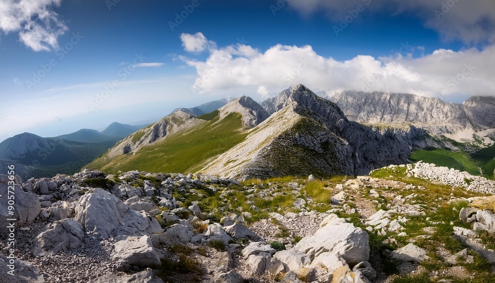 Naklejka premium view at the ucka mountain istria croatia