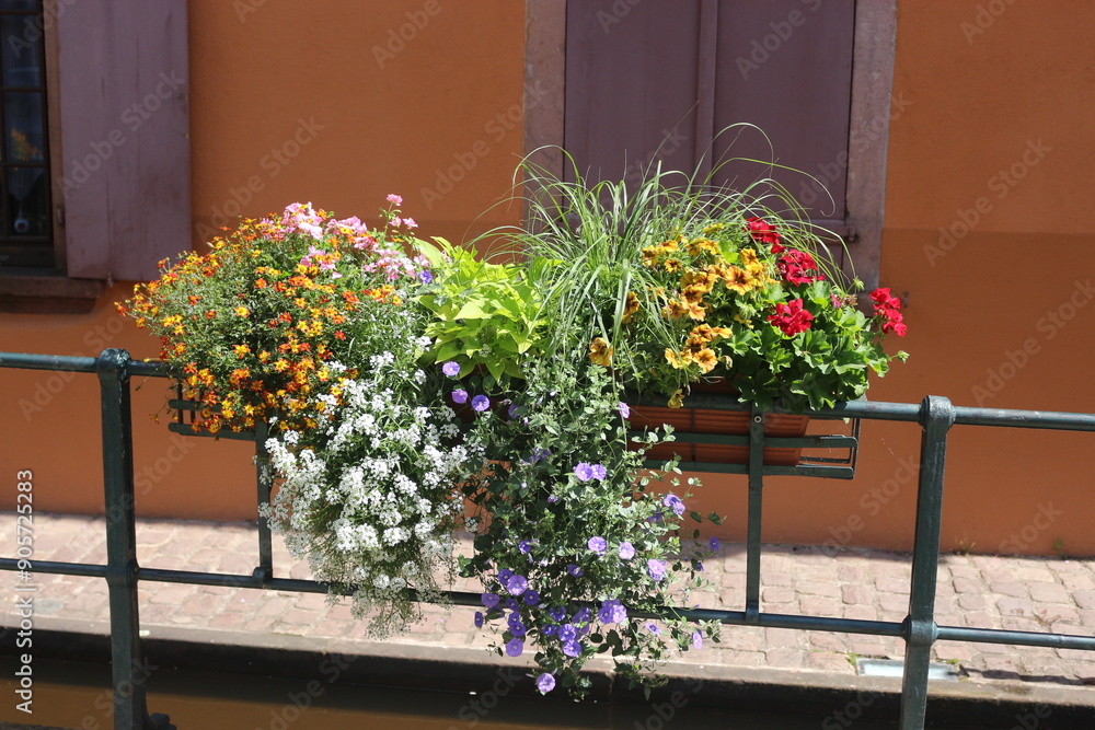 Fototapeta premium flores