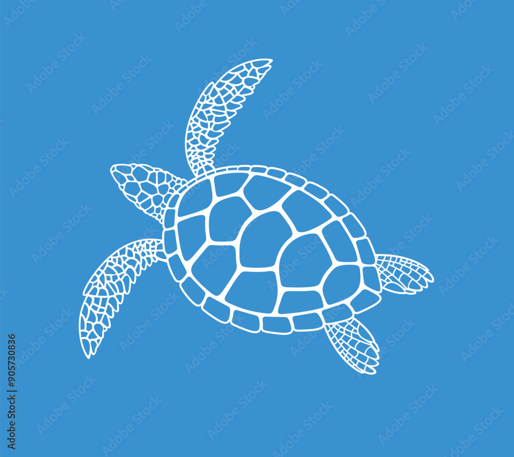 Fototapeta premium Sea turtle outline. Isolated turtle on white background. Reptile