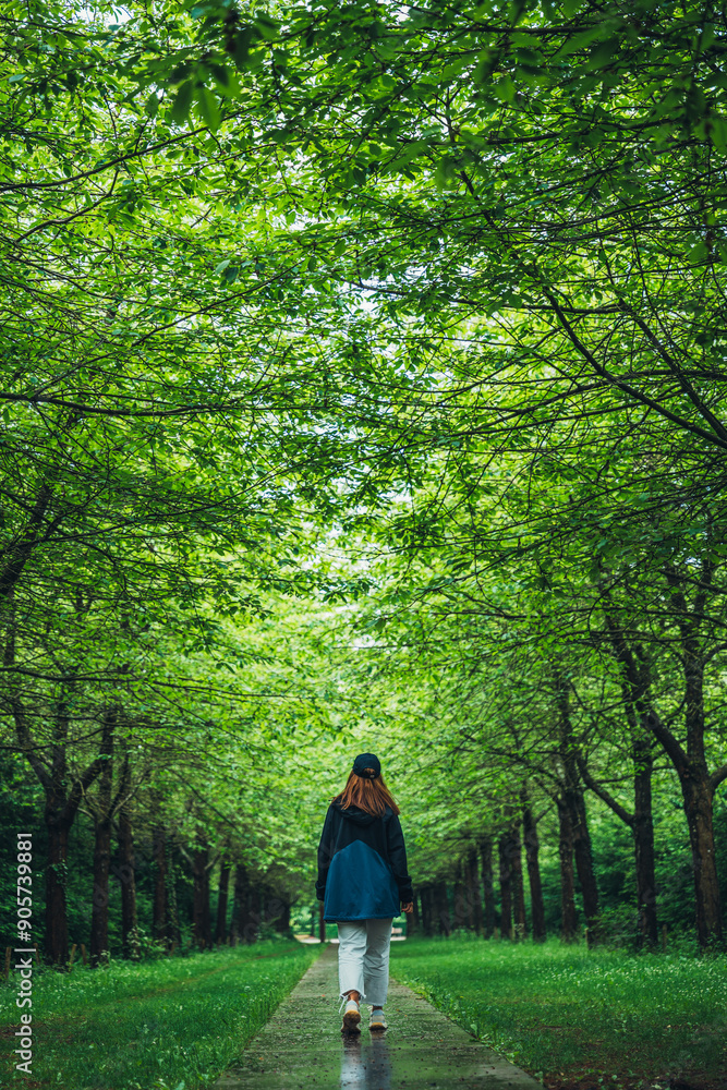 Back view of unrecognizable woman walking in lush Copenhagen park Back view of unrecognizable woman walking in lush Copenhagen park
