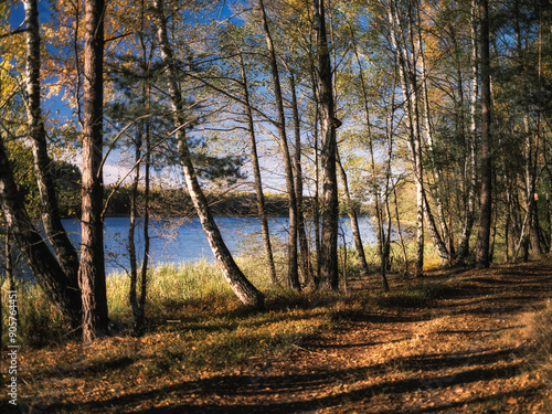 Fototapeta Naklejka Na Ścianę i Meble -  Jesień na pomorzu