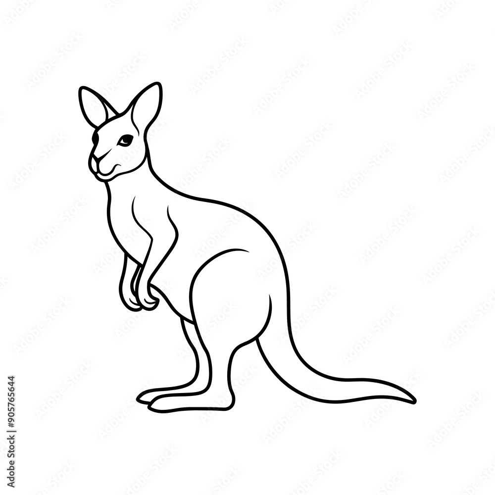 kangaroo art illustration kangaroo art illustration