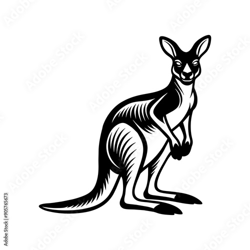 kangaroo art illustration photo