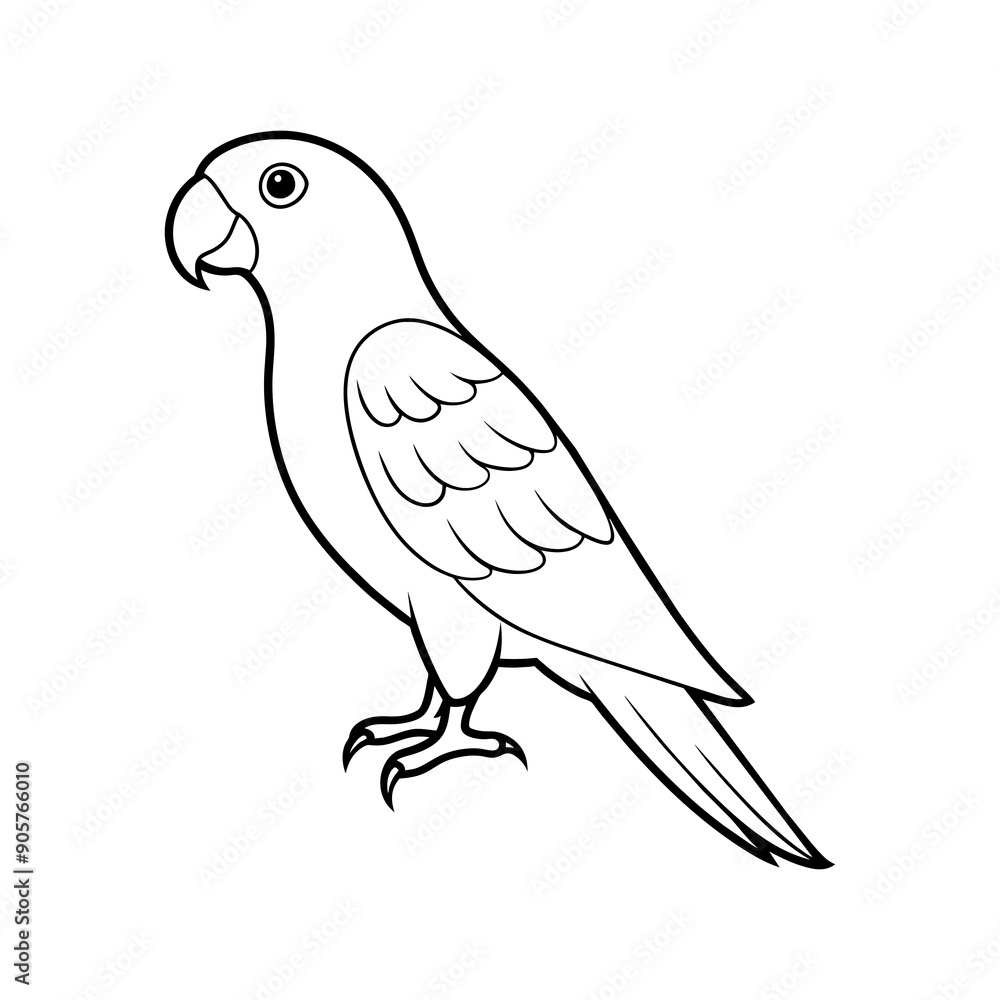 Obraz premium parrot illustration on white background