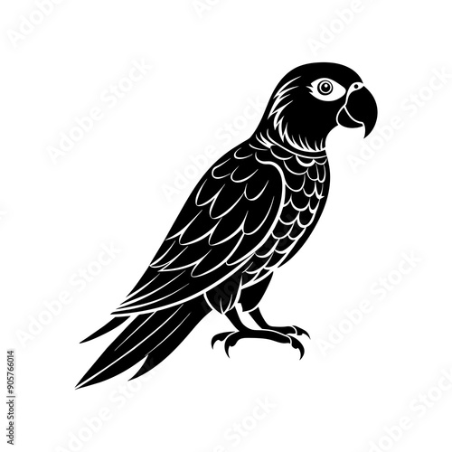 parrot illustration on white background