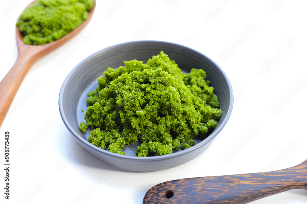 Fresh water alga, water meal or swamp algae Fresh water alga, water meal or swamp algae