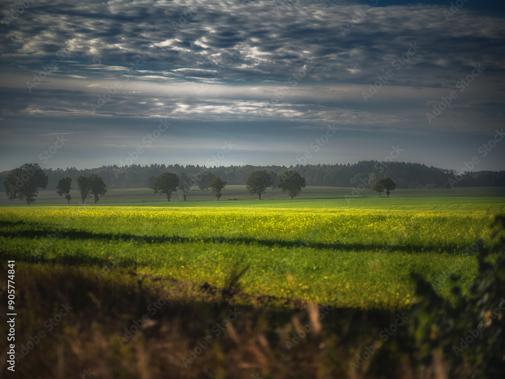 Obraz premium Chmury nad polami