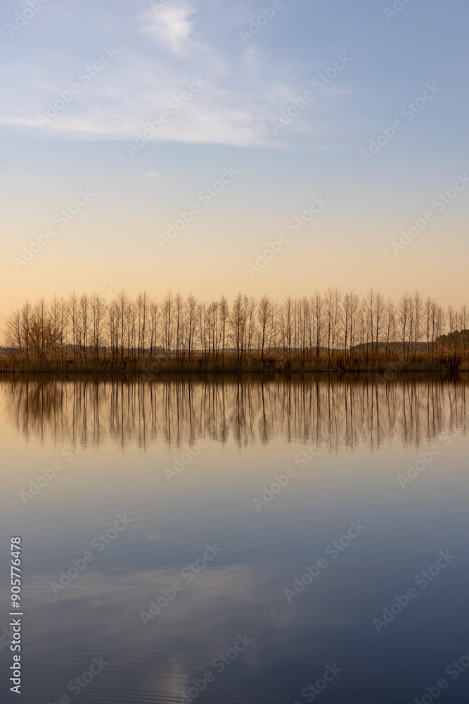 Obraz premium reflection of trees at sunset, river with reflection