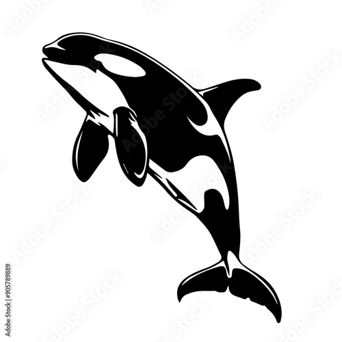 Orca Vector Illustration in Black