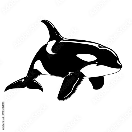 Orca Vector Illustration in Black