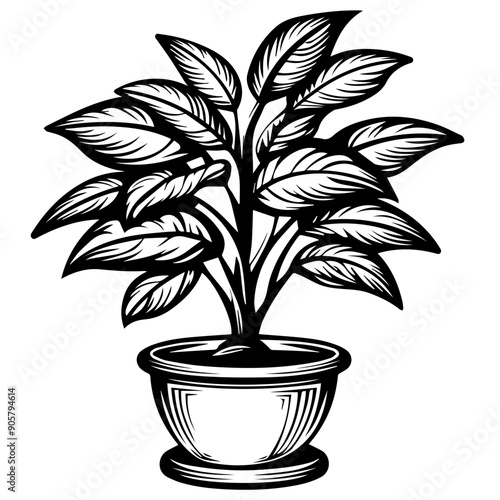 Plant in Pot Vector Illustration