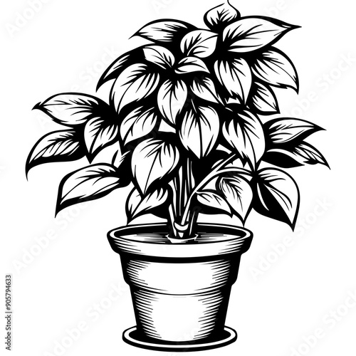 Plant in Pot Vector Illustration
