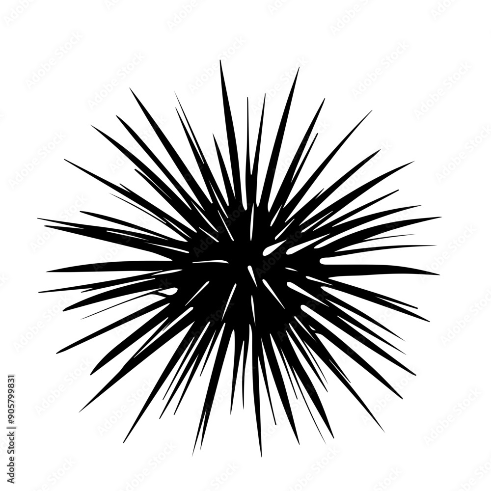 Sea Urchin Black Vector Illustration Sea Urchin Black Vector Illustration