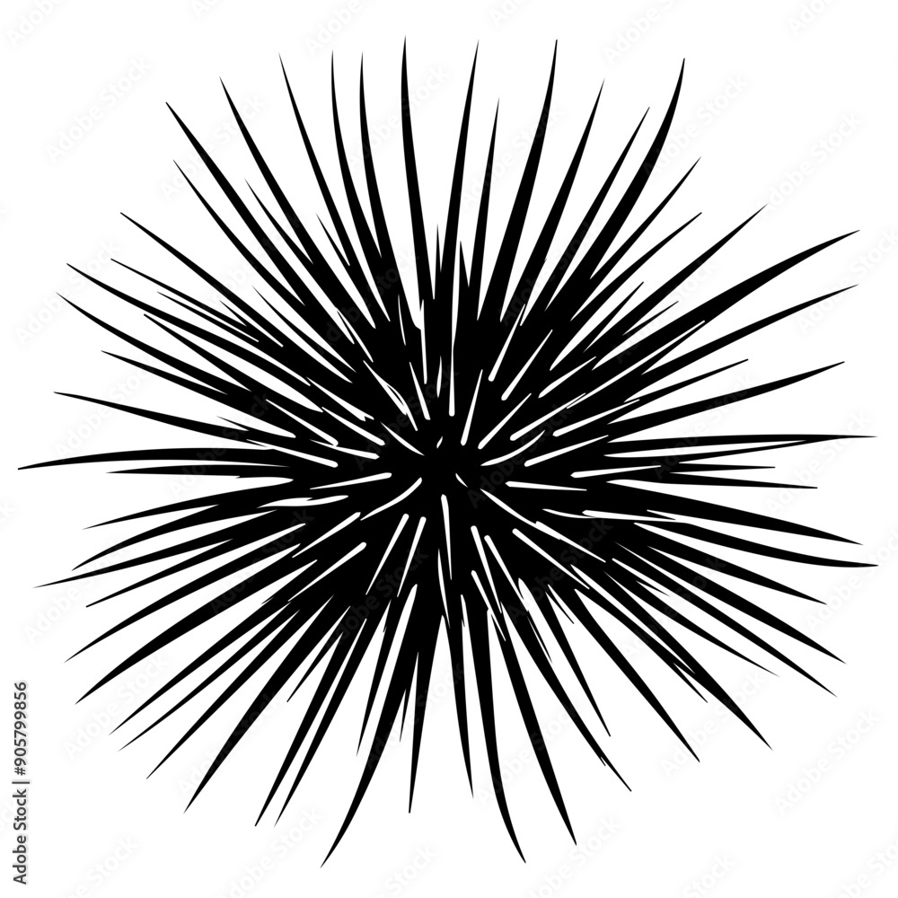Sea Urchin Black Vector Illustration Sea Urchin Black Vector Illustration