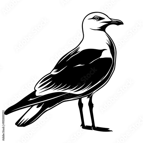 Seagull Black Vector Illustration