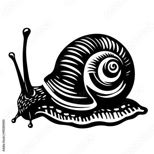 Snail Vector Illustration