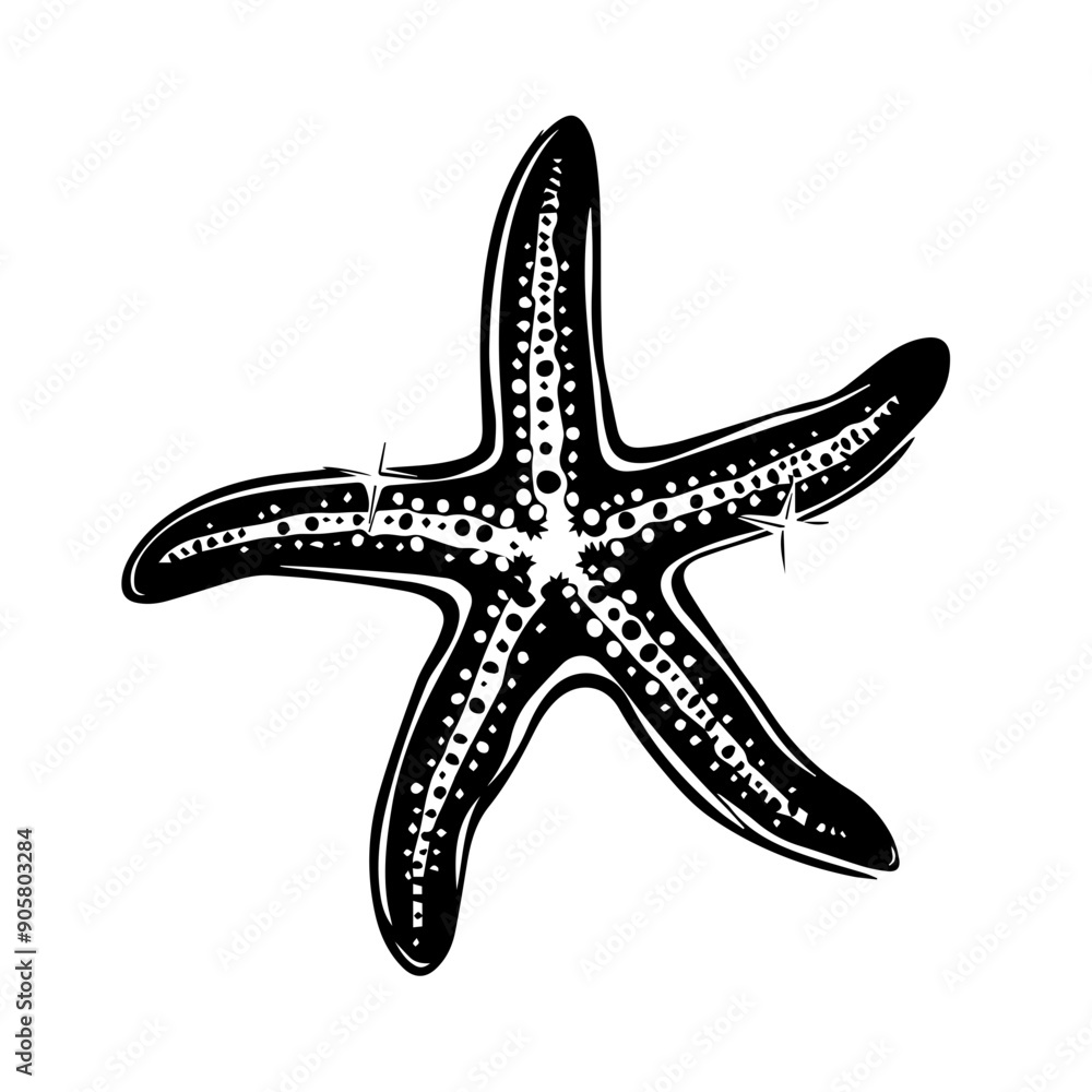 Starfish Vector Illustration Starfish Vector Illustration