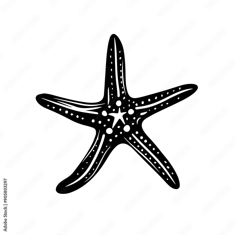 Starfish Vector Illustration Starfish Vector Illustration