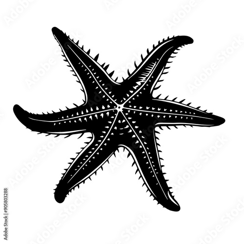 Starfish Vector Illustration