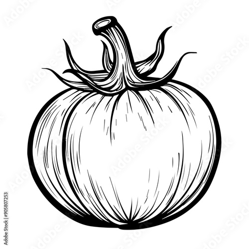 Hand-Drawn Pumpkin Vector Illustration