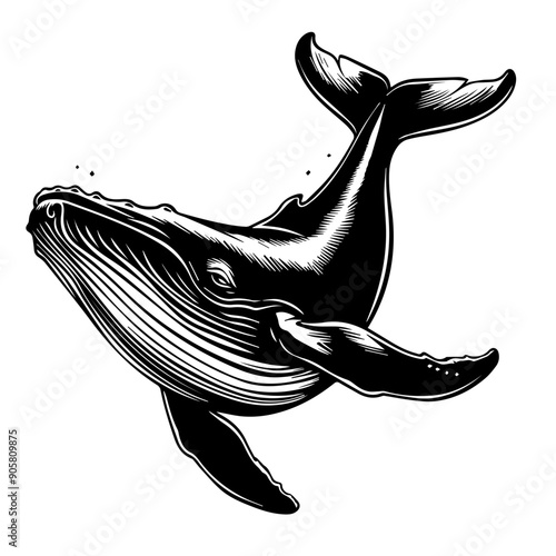 Silhouette of a Humpback Whale Swimming