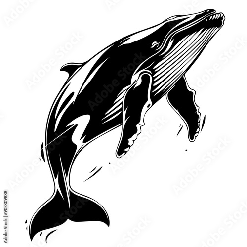 Silhouette of a Humpback Whale Swimming