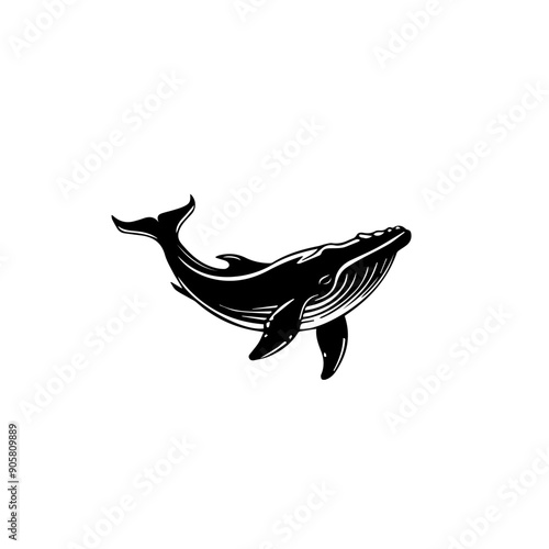 Silhouette of a Humpback Whale Swimming