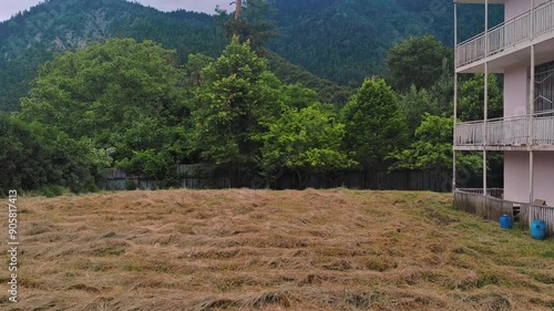 Wallpaper Mural A lawn and a mountain covered with a coniferous forest in front of our rural house Torontodigital.ca