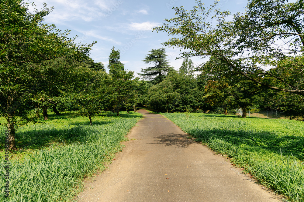 path in the park path in the park