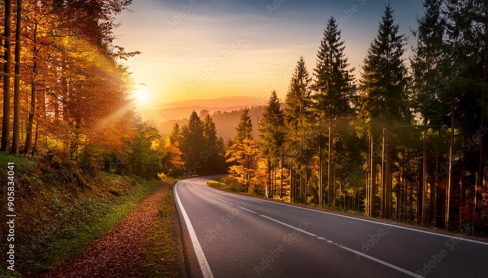 Fototapeta premium road through the autumn forest at sunset holzbronn black forest germany europe