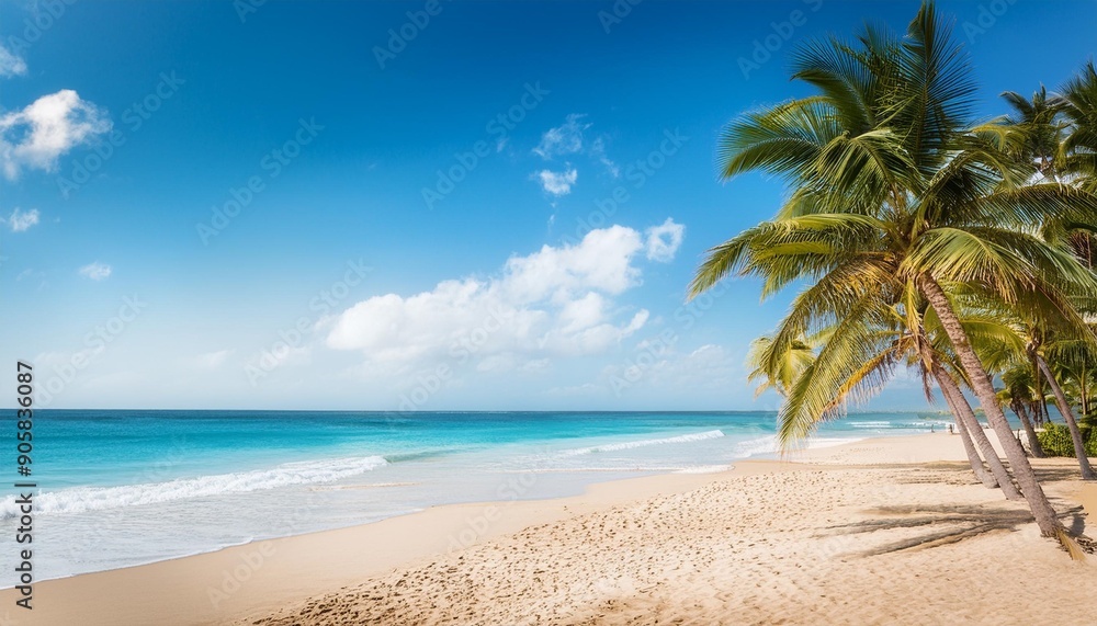 summer beach and palm trees wallpaper background summer beach and palm trees wallpaper background