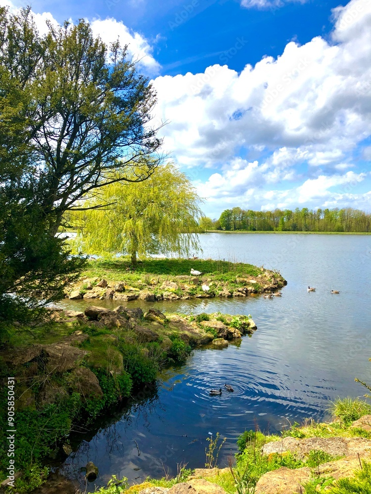 Fototapeta premium lake in the forest