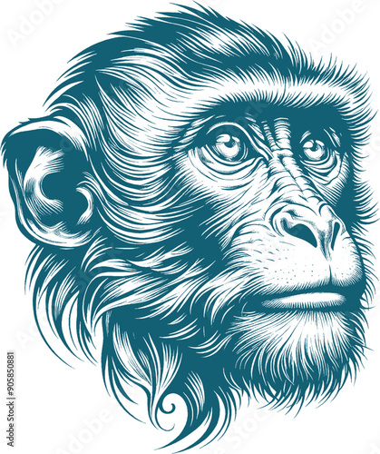 monkey tattoo vector photo