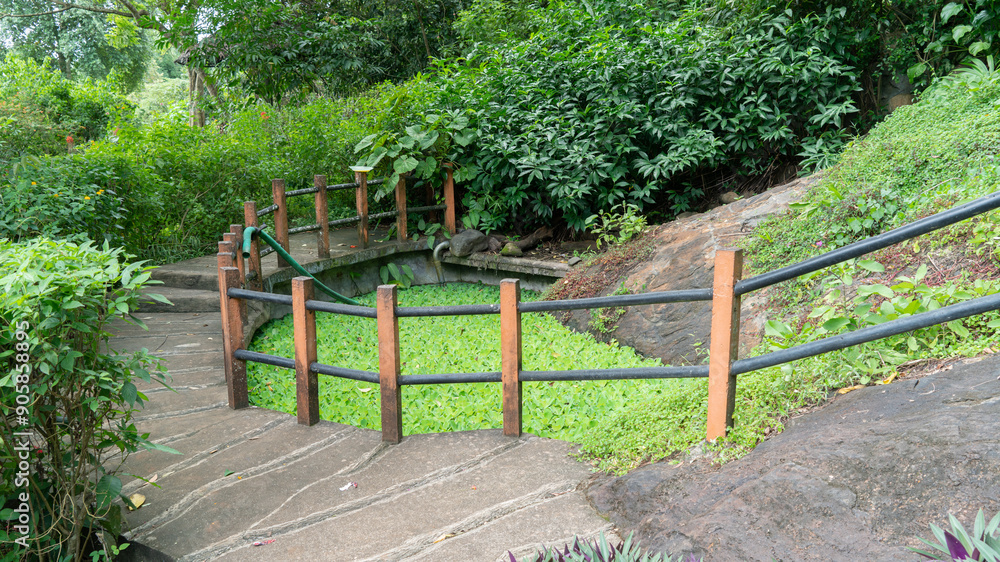 A beautiful path in a garden with rising steps. A beautiful path in a garden with rising steps.