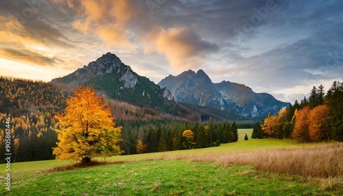 Beautiful autumn evening on a pasture under rocky mountains with a wild forest, a beautiful yellow tree in the middle of a meadow and a colorful dramatic sky. High tatras NP, Poland, Slovakia photo