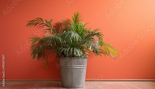 potted plant isolated on orange wall photo