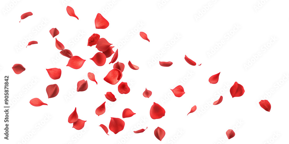 Romantic Red Rose Petals on Clear Background – Perfect for Elegant and Emotional Art Romantic Red Rose Petals on Clear Background – Perfect for Elegant and Emotional Art