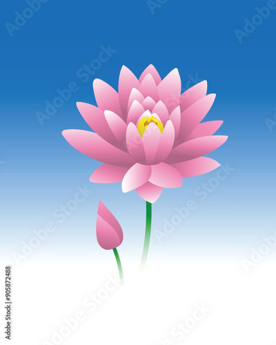 abstract pink lotus flower photo