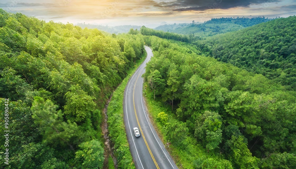 Aerial top view road in forest with car motion blur. Winding road through the forest. Car drive on the road between green forest. Ecosystem ecology healthy environment road trip. Aerial top view road in forest with car motion blur. Winding road through the forest. Car drive on the road between green forest. Ecosystem ecology healthy environment road trip.