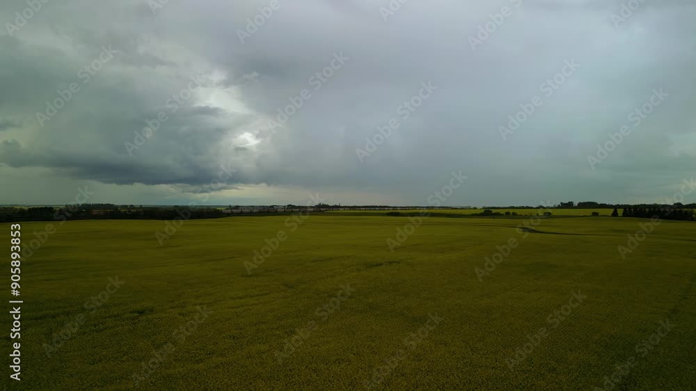Saskatchewan storm clouds drone flyover with train and canola fields Saskatchewan storm clouds drone flyover with train and canola fields
