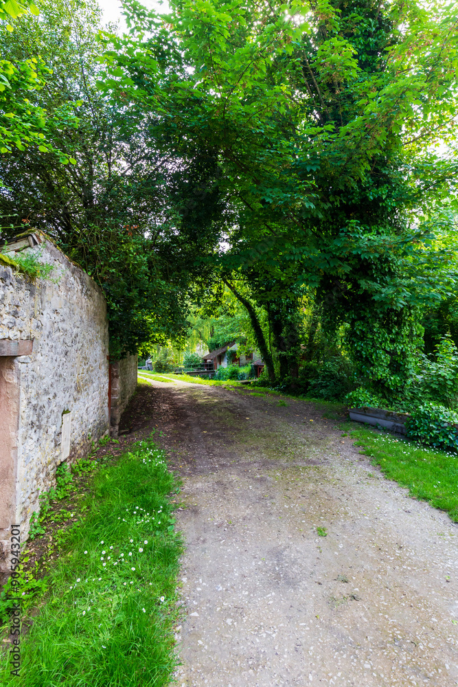 Lush Green Pathway in Chateau Landon Countryside Lush Green Pathway in Chateau Landon Countryside