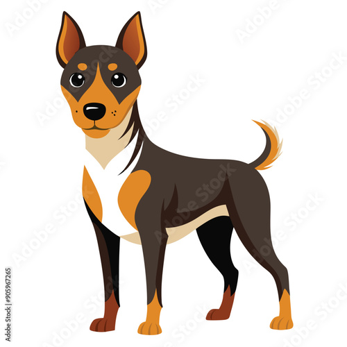 A black, orange, and white dog with perky ears and a curled tail stands on white background