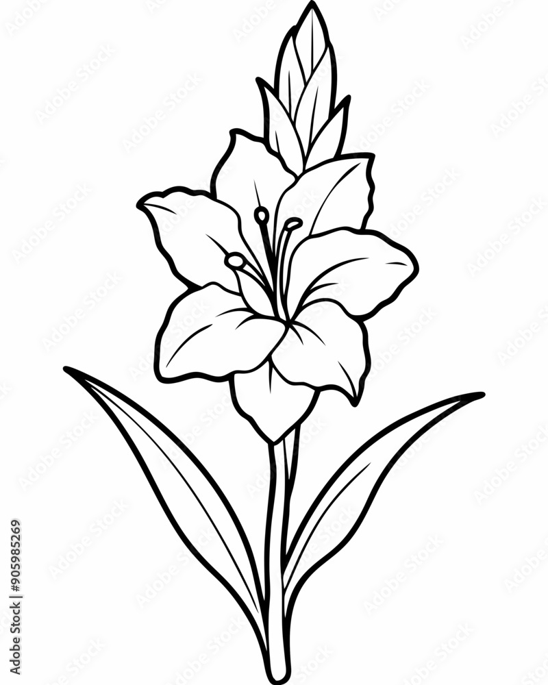 Line art of Gladiolus flower Line art of Gladiolus flower